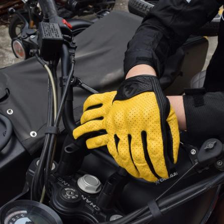 Lightning Metal Logo Motorcycl - Horse Riding Glove review and price